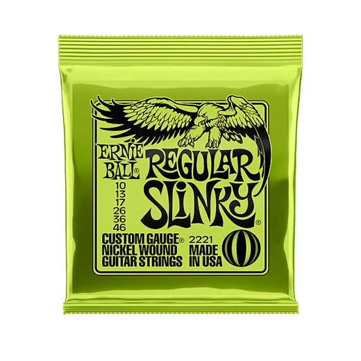 Ernie Ball 2221